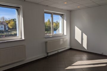 PXL_20241008_081119095