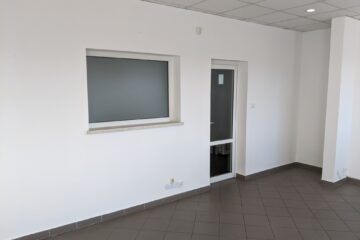 PXL_20241008_081220614